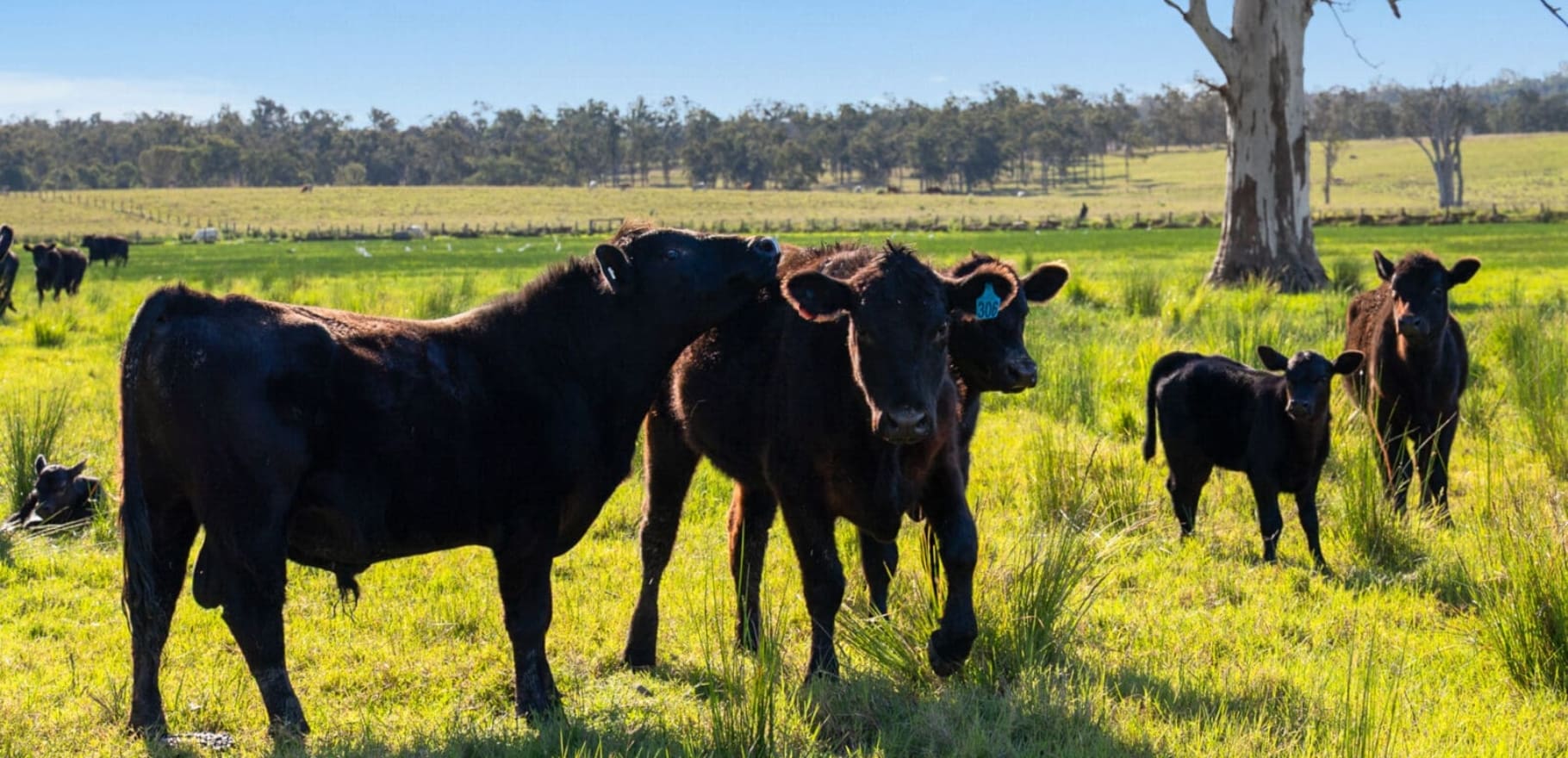 4986 Cunningham Highway, Warrill View, QLD 4307 AUS