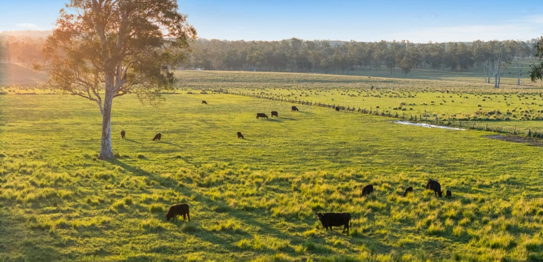 4986 Cunningham Highway, Warrill View, QLD 4307 AUS